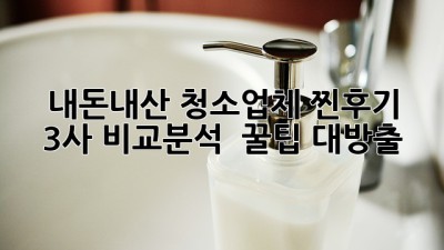 🧹 내돈내산 청소업체 찐후기! 3사 비교분석 & 꿀팁 대방출✨