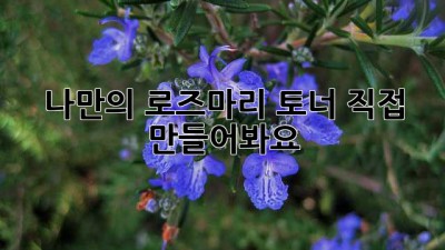 나만의 로즈마리 토너, 직접 만들어봐요! ✨